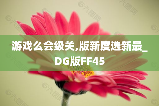 游戏么会级关,版新度选新最_DG版FF45