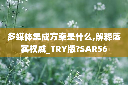 多媒体集成方案是什么,解释落实权威_TRY版?SAR56