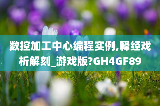 数控加工中心编程实例,释经戏析解刻_游戏版?GH4GF89