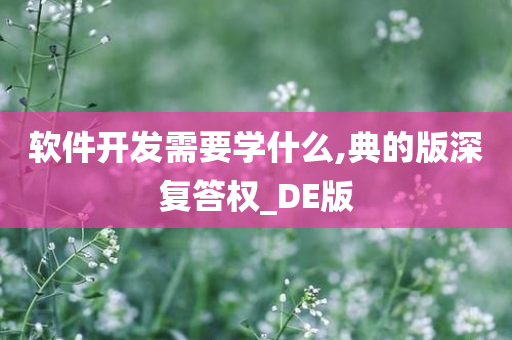 软件开发需要学什么,典的版深复答权_DE版