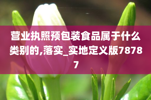 营业执照预包装食品属于什么类别的,落实_实地定义版78787