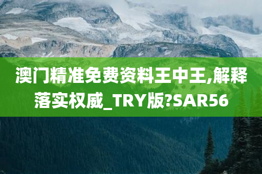 澳门精准免费资料王中王,解释落实权威_TRY版?SAR56