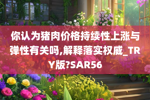 你认为猪肉价格持续性上涨与弹性有关吗,解释落实权威_TRY版?SAR56