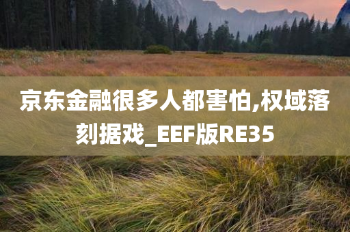 京东金融很多人都害怕,权域落刻据戏_EEF版RE35