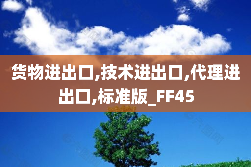 货物进出口,技术进出口,代理进出口,标准版_FF45