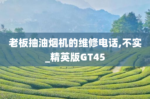 老板抽油烟机的维修电话,不实_精英版GT45