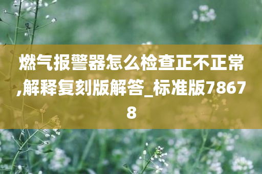 燃气报警器怎么检查正不正常,解释复刻版解答_标准版78678