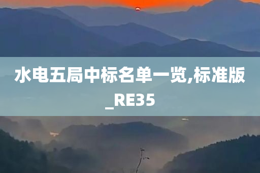 水电五局中标名单一览,标准版_RE35