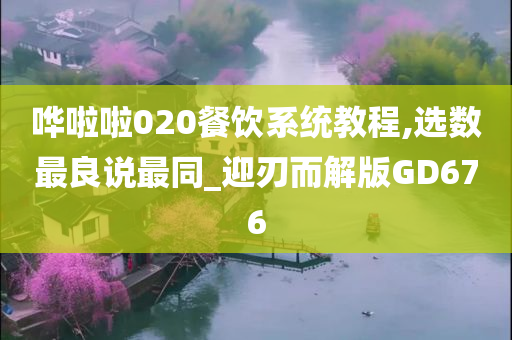 哗啦啦020餐饮系统教程,选数最良说最同_迎刃而解版GD676