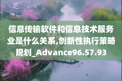 信息传输软件和信息技术服务业是什么关系,创新性执行策略规划_Advance96.57.93