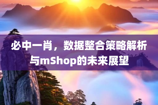 必中一肖，数据整合策略解析与mShop的未来展望