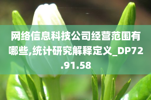 网络信息科技公司经营范围有哪些,统计研究解释定义_DP72.91.58