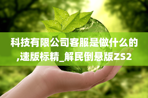 科技有限公司客服是做什么的,速版标精_解民倒悬版ZS2