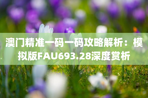 澳门精准一码一码攻略解析：模拟版FAU693.28深度赏析