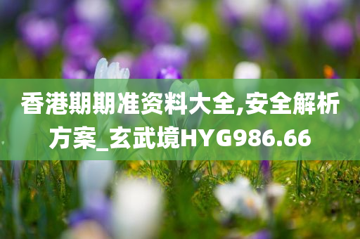 香港期期准资料大全,安全解析方案_玄武境HYG986.66