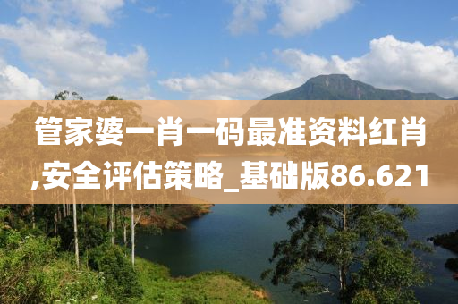 管家婆一肖一码最准资料红肖,安全评估策略_基础版86.621