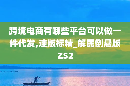 跨境电商有哪些平台可以做一件代发,速版标精_解民倒悬版ZS2