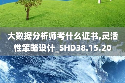 大数据分析师考什么证书,灵活性策略设计_SHD38.15.20