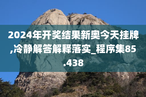 2024年开奖结果新奥今天挂牌,冷静解答解释落实_程序集85.438