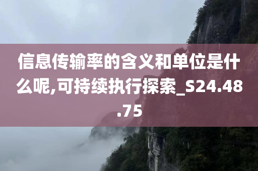 信息传输率的含义和单位是什么呢,可持续执行探索_S24.48.75