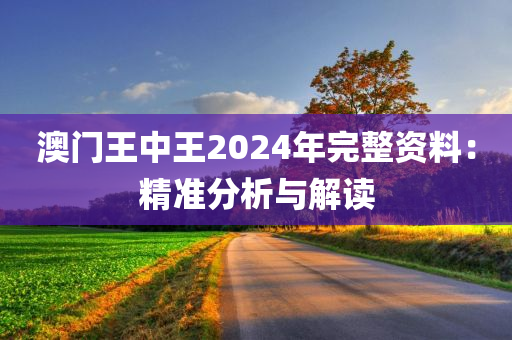 澳门王中王2024年完整资料：精准分析与解读