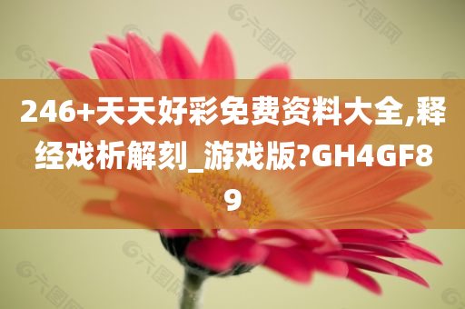 246+天天好彩免费资料大全,释经戏析解刻_游戏版?GH4GF89