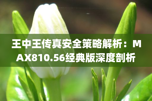 王中王传真安全策略解析：MAX810.56经典版深度剖析