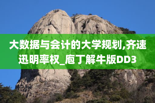 大数据与会计的大学规划,齐速迅明率权_庖丁解牛版DD3