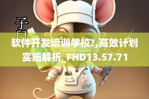 软件开发培训学校?,高效计划实施解析_FHD13.57.71