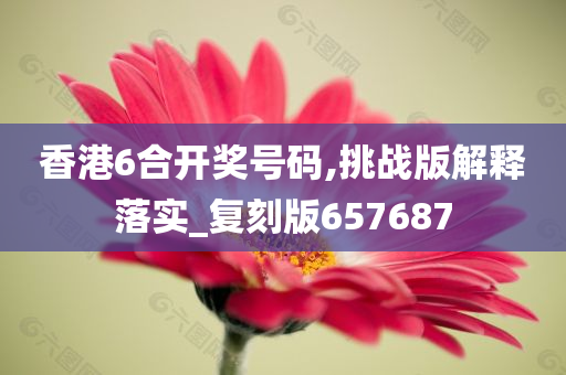 香港6合开奖号码,挑战版解释落实_复刻版657687