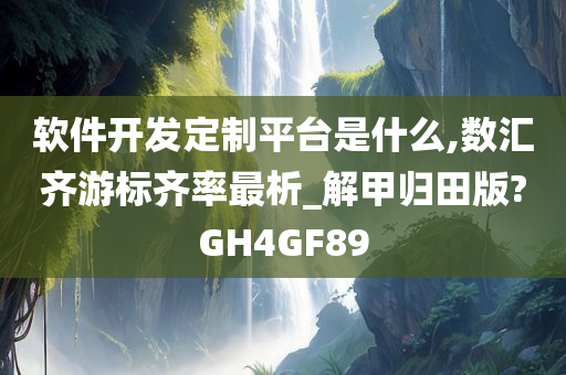 软件开发定制平台是什么,数汇齐游标齐率最析_解甲归田版?GH4GF89