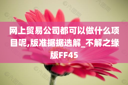 网上贸易公司都可以做什么项目呢,版准据据选解_不解之缘版FF45