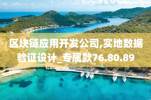 区块链应用开发公司,实地数据验证设计_专属款76.80.89