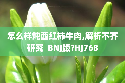 怎么样炖西红柿牛肉,解析不齐研究_BNJ版?HJ768