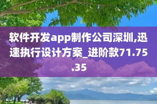 软件开发app制作公司深圳,迅速执行设计方案_进阶款71.75.35