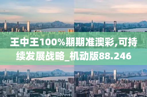 王中王100%期期准澳彩,可持续发展战略_机动版88.246