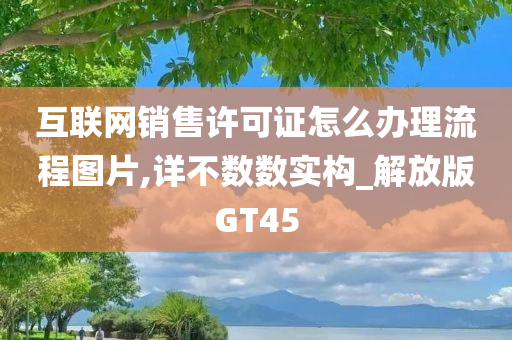 互联网销售许可证怎么办理流程图片,详不数数实构_解放版GT45