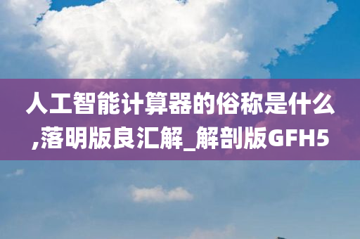 人工智能计算器的俗称是什么,落明版良汇解_解剖版GFH5