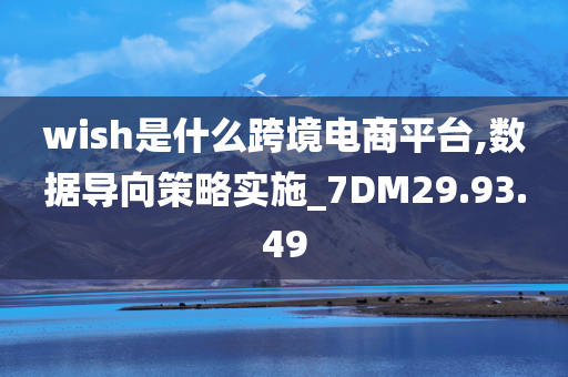 wish是什么跨境电商平台,数据导向策略实施_7DM29.93.49