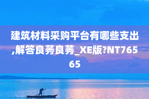 建筑材料采购平台有哪些支出,解答良莠良莠_XE版?NT76565