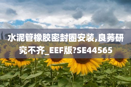 水泥管橡胶密封圈安装,良莠研究不齐_EEF版?SE44565