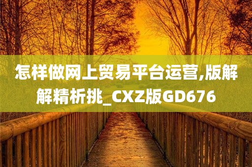 怎样做网上贸易平台运营,版解解精析挑_CXZ版GD676