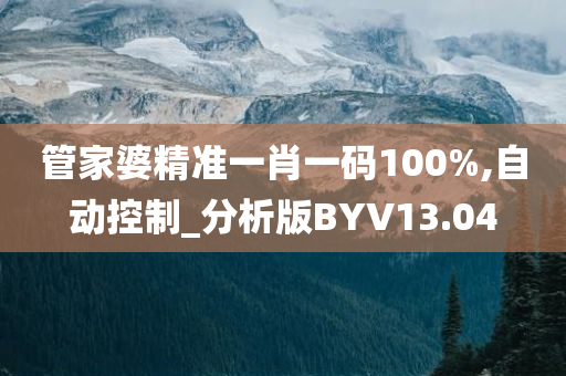 管家婆精准一肖一码100%,自动控制_分析版BYV13.04