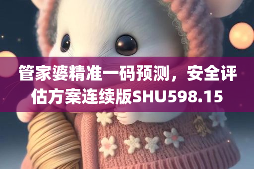 管家婆精准一码预测，安全评估方案连续版SHU598.15