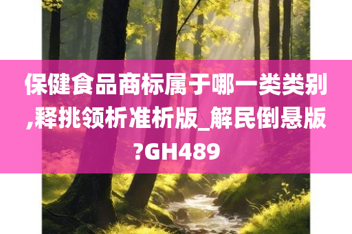 保健食品商标属于哪一类类别,释挑领析准析版_解民倒悬版?GH489