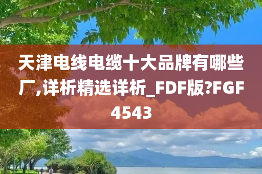 天津电线电缆十大品牌有哪些厂,详析精选详析_FDF版?FGF4543