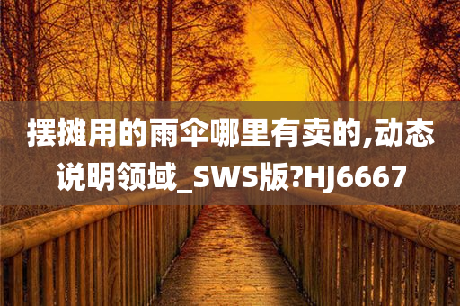 摆摊用的雨伞哪里有卖的,动态说明领域_SWS版?HJ6667