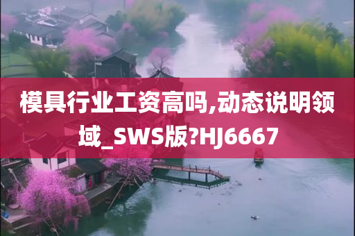 模具行业工资高吗,动态说明领域_SWS版?HJ6667