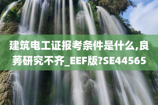 建筑电工证报考条件是什么,良莠研究不齐_EEF版?SE44565