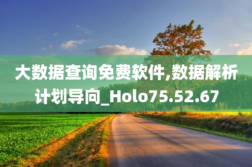 大数据查询免费软件,数据解析计划导向_Holo75.52.67